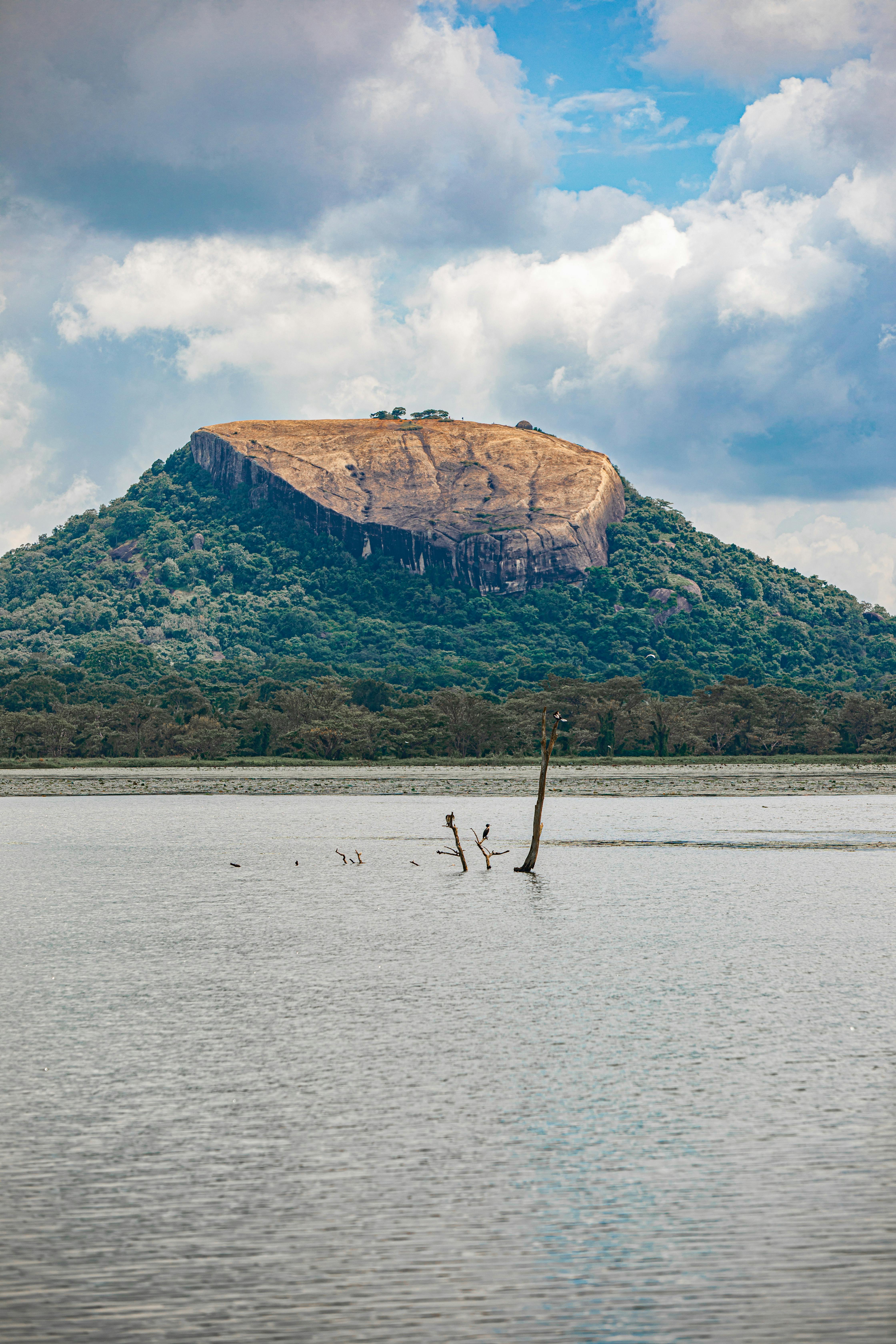 Sri Lanka Landscape